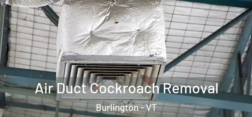 Air Duct Cockroach Removal Burlington - VT