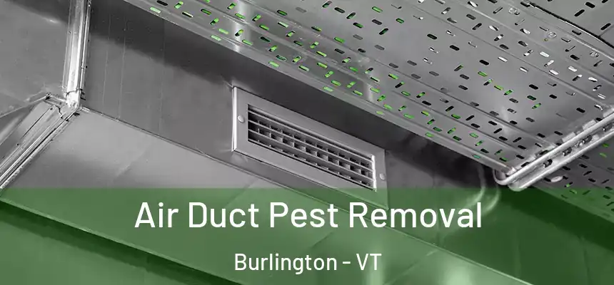  Air Duct Pest Removal Burlington - VT