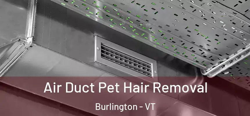  Air Duct Pet Hair Removal Burlington - VT