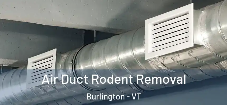  Air Duct Rodent Removal Burlington - VT