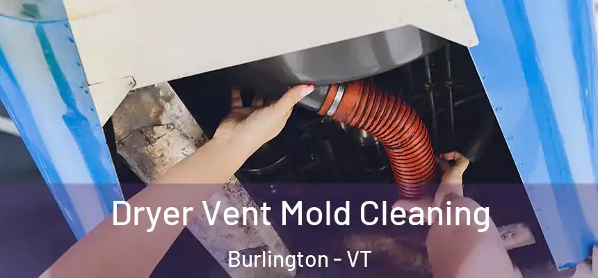  Dryer Vent Mold Cleaning Burlington - VT
