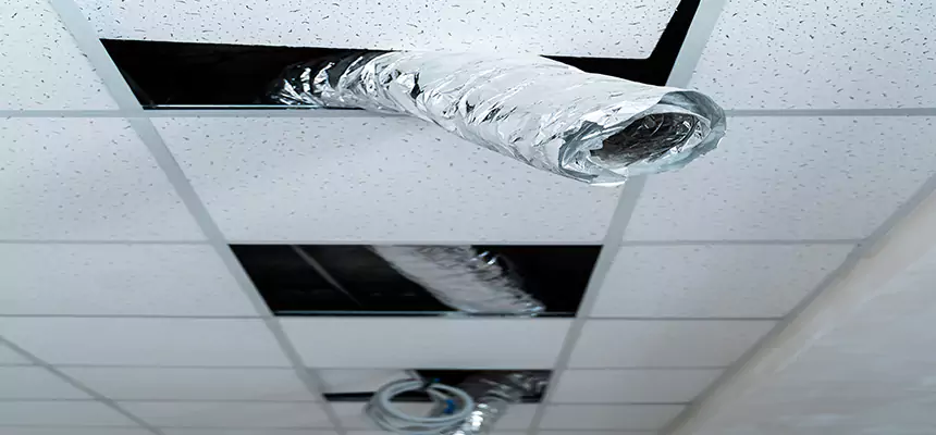 Our Air Duct Pet Hair Removal Services in Burlington, VT