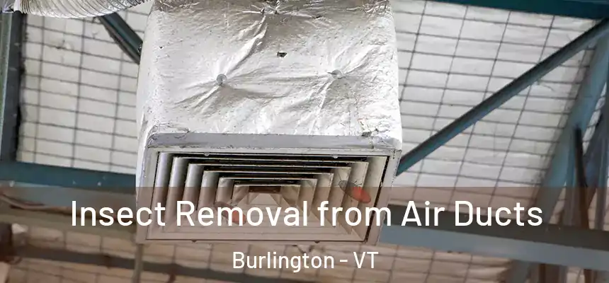  Insect Removal from Air Ducts Burlington - VT