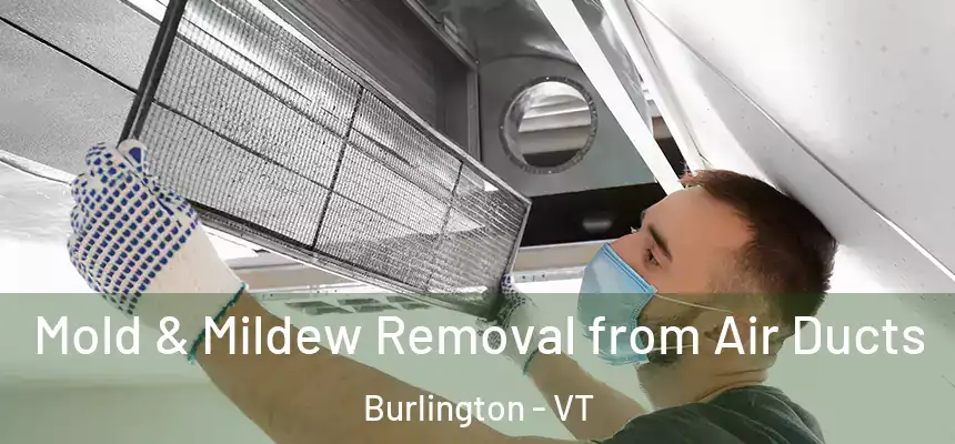  Mold & Mildew Removal from Air Ducts Burlington - VT