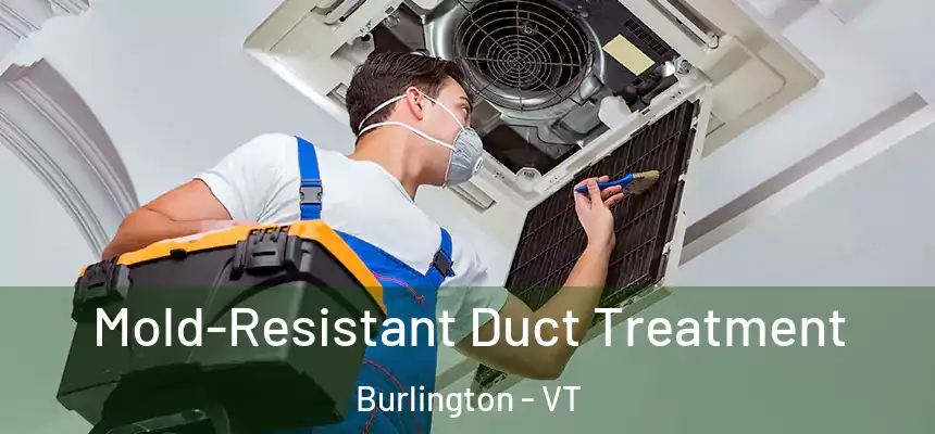  Mold-Resistant Duct Treatment Burlington - VT