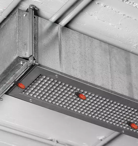 About Air Duct Cockroach Removal in Burlington, VT