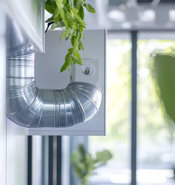 Professional Eco-Safe Dryer Vent Cleaning in Burlington, VT