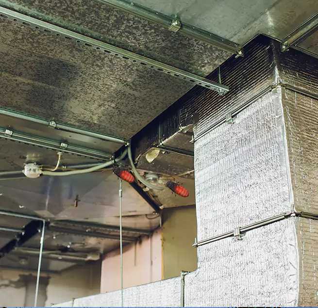 Why Homeowners & Businesses Trust Us in Burlington, VT?