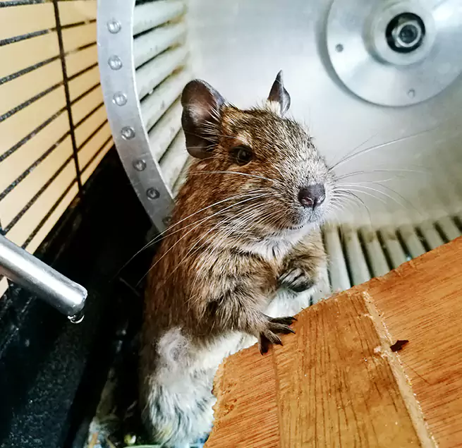 Why Homeowners & Businesses Trust Us Burlington, VT